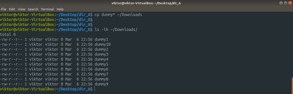 How can I Copy Files in a Folder into Another Folder on Linux Terminal BASH Programming 