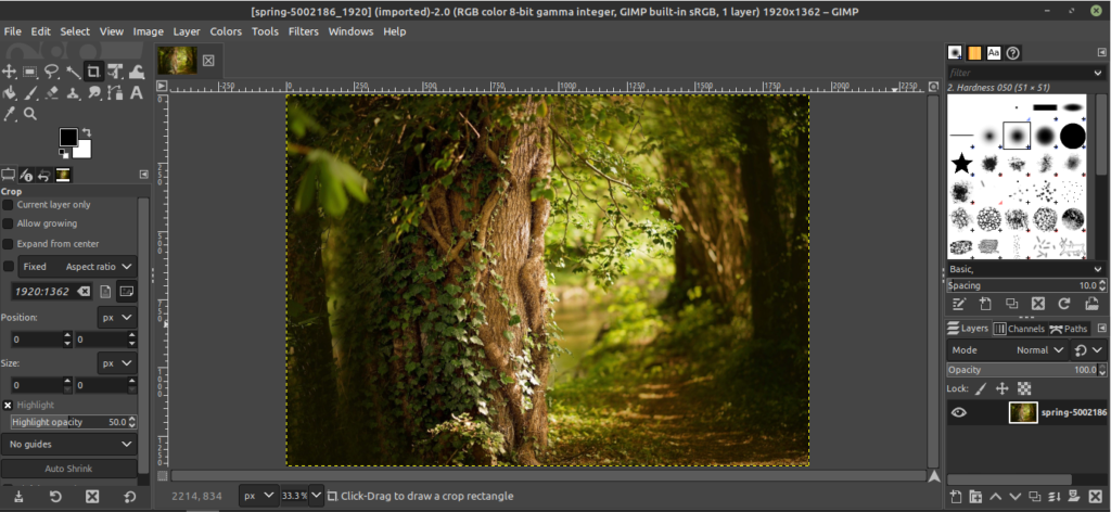 How to Install and Use GIMP Photo Editor on Linux Mint Gimp Linux Mint 