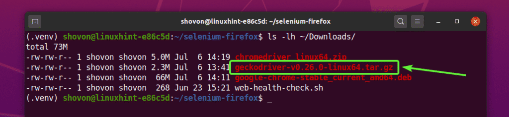 Using Selenium with Firefox Driver selenium Web Scraping 