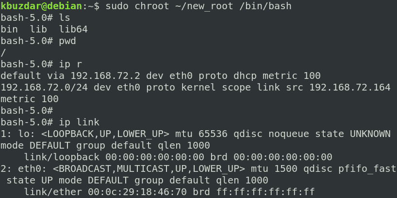 Docker exec bin bash. Bin Bash root. Chroot Linux. Chroot примеры Linux. Chroot окружение.