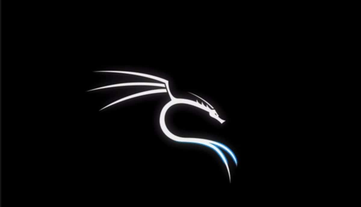 How to Update Your Kali Linux System Kali Linux 