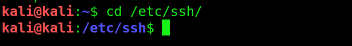 How to Enable SSH in Kali Linux 2020 Kali Linux SSH 