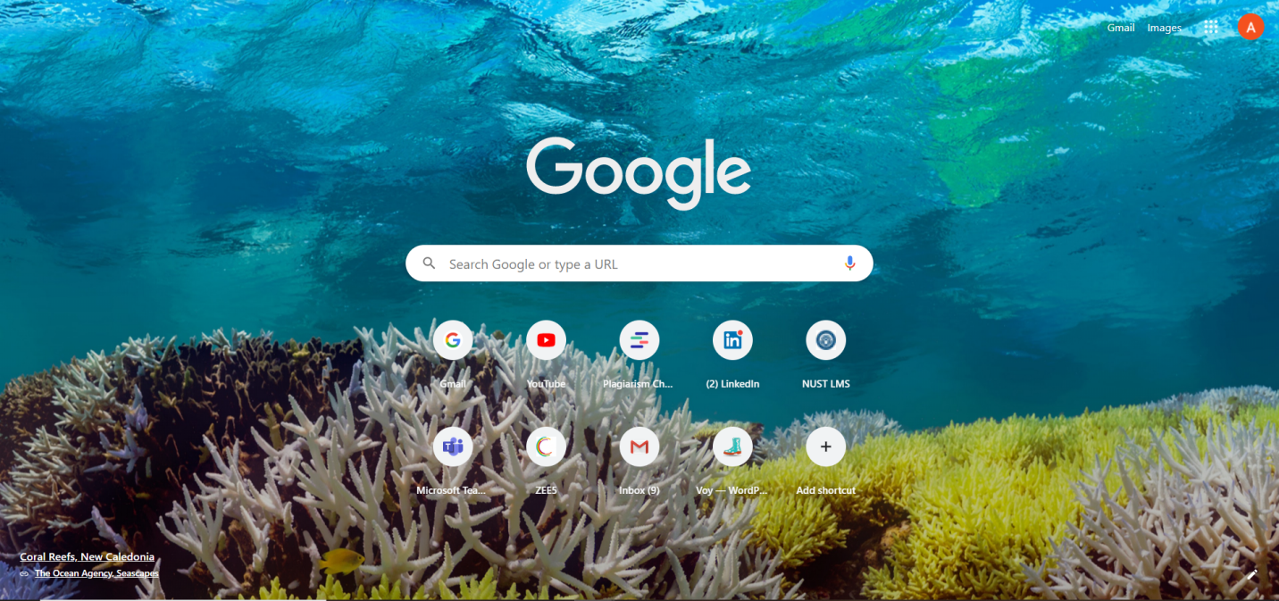 How to Customize the New Tab Page Background on Google Chrome? Chrome Google 