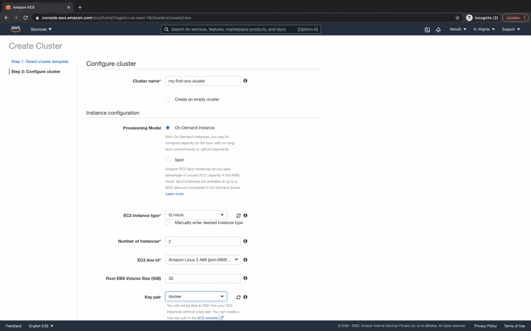 How to setup Elastic Container Service (ECS) on AWS linux 