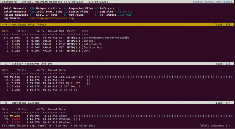 How to Install GoAccess Web Log Analyzer on Ubuntu 20.04 ubuntu 