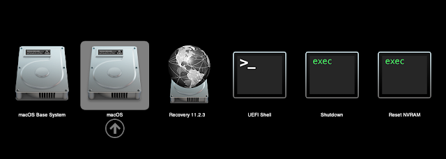 Install macOS Big Sur Or Catalina In A Virtual Machine Using Docker-OSX Docker How To mac 