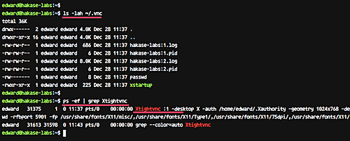 Ubuntu kill vnc server start anydesk service linux from command line