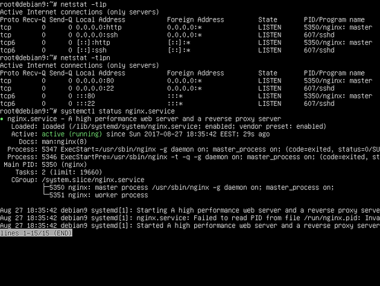 Install Nginx with PHP and MySQL (LEMP) plus SSL on Debian 10 Debian 
