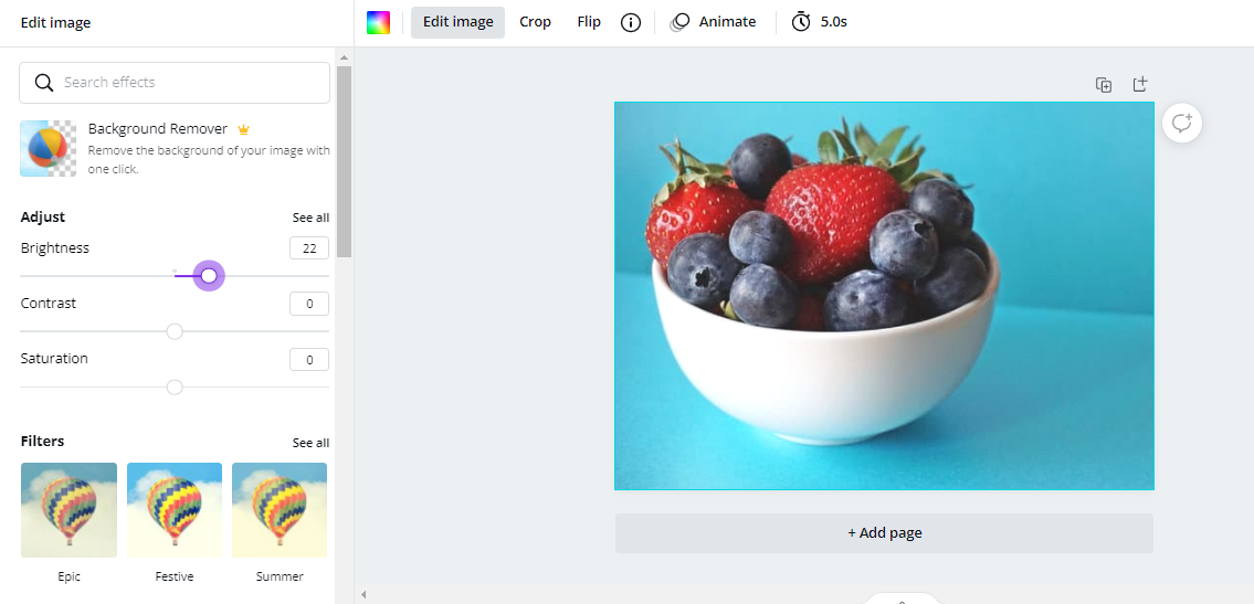 How to Edit Pictures Using Canva? Design 