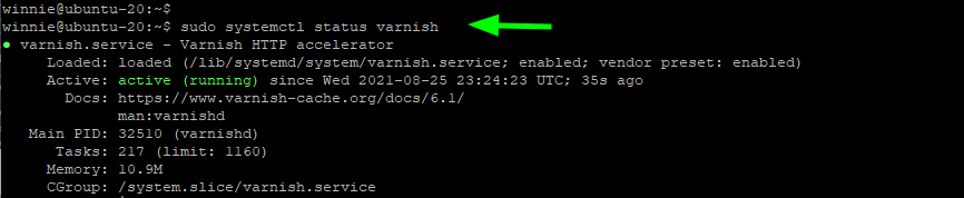 How to install Varnish Cache on Ubuntu 20.04 ubuntu 