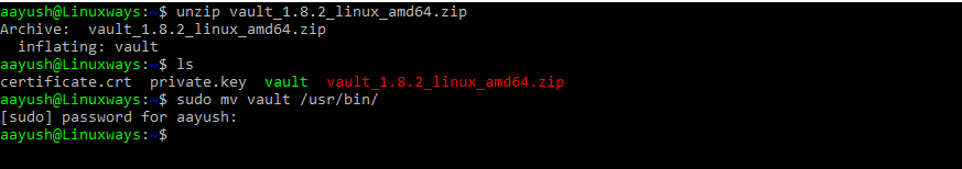 Store Passwords Securely with Hashicorp Vault on Ubuntu 20.04 linux ubuntu  