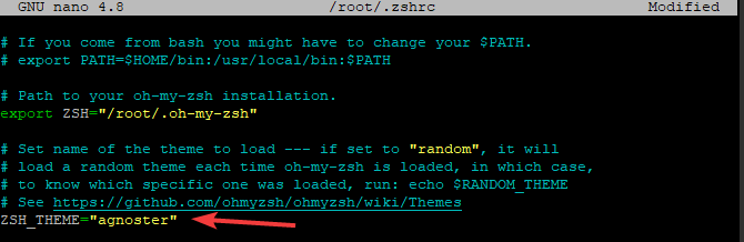 How to Install ZSH Shell and Oh-My-Zsh on Ubuntu 20.04 ubuntu 