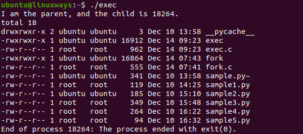 Fork, exec, wait and exit system call explained in Linux linux 