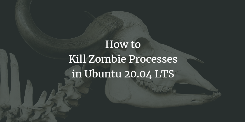 how-to-kill-zombie-processes-in-ubuntu-20-04-lts-kirelos-blog