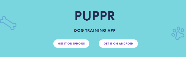 12 Apps Every Dog Parent Must Download Smart Things 