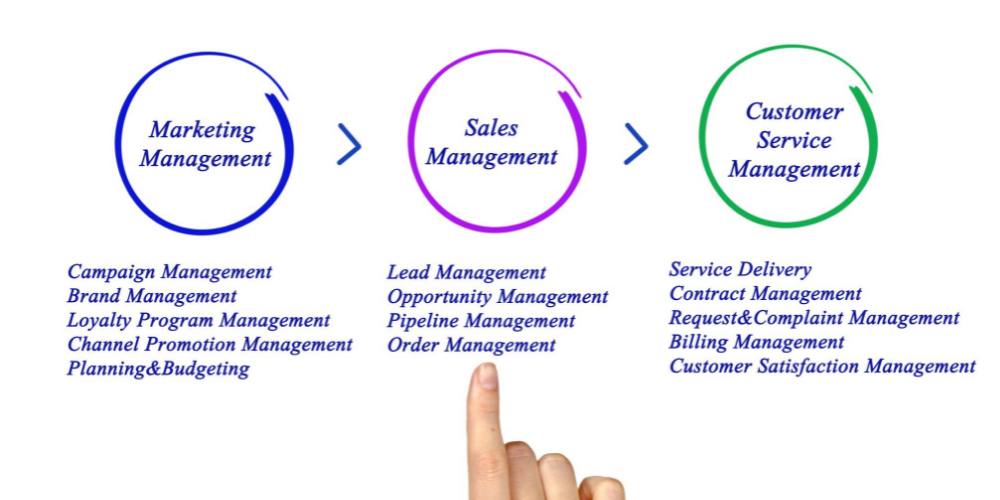 Sales Pipeline Management is Easy With Bigin [+ 3 Alternatives] Growing Business 