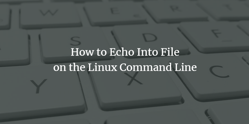 How to Echo Into File linux 
