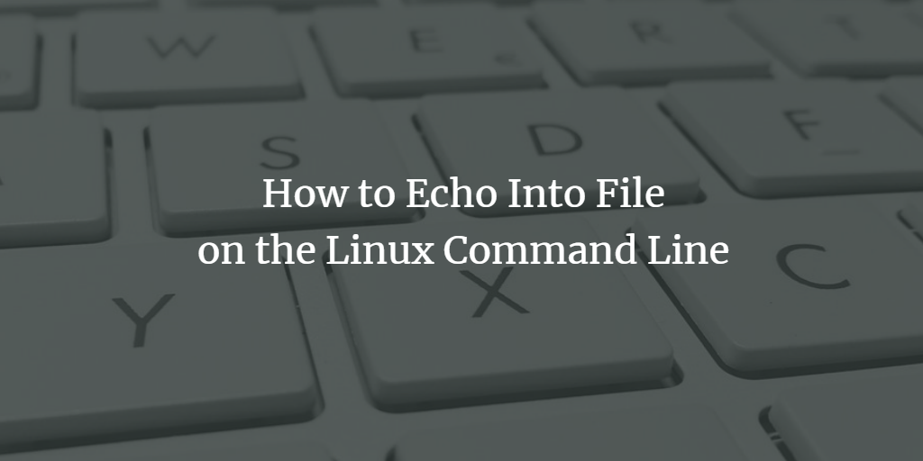 echo into file