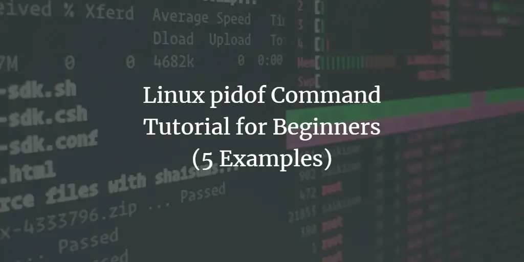 Linux pidof Command Tutorial for Beginners (5 Examples) linux 
