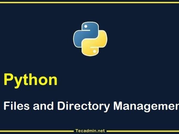 Files and Directory Handling in Python directory Files Python 