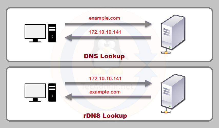 Understanding Reverse DNS: What it is and Why it Matters? DNS General Articles rDNS Reverse DNS 