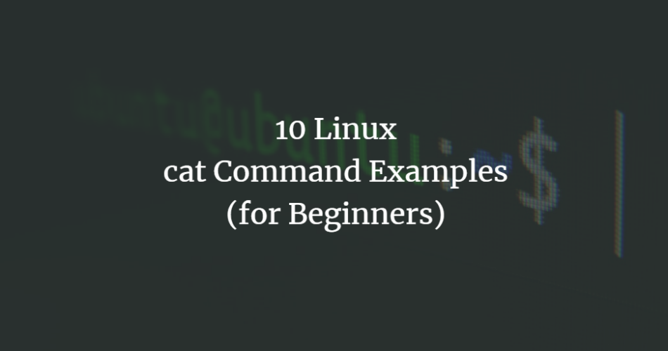 10 Linux cat Command Examples for Beginners linux 