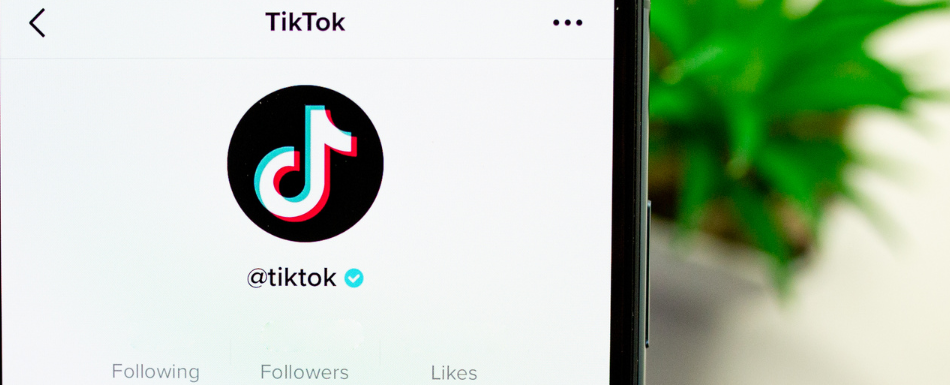 How to View TikTok Watch History on Mobile and Desktop [2023]? Digital Marketing 