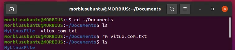 How to Delete Files on Linux linux 