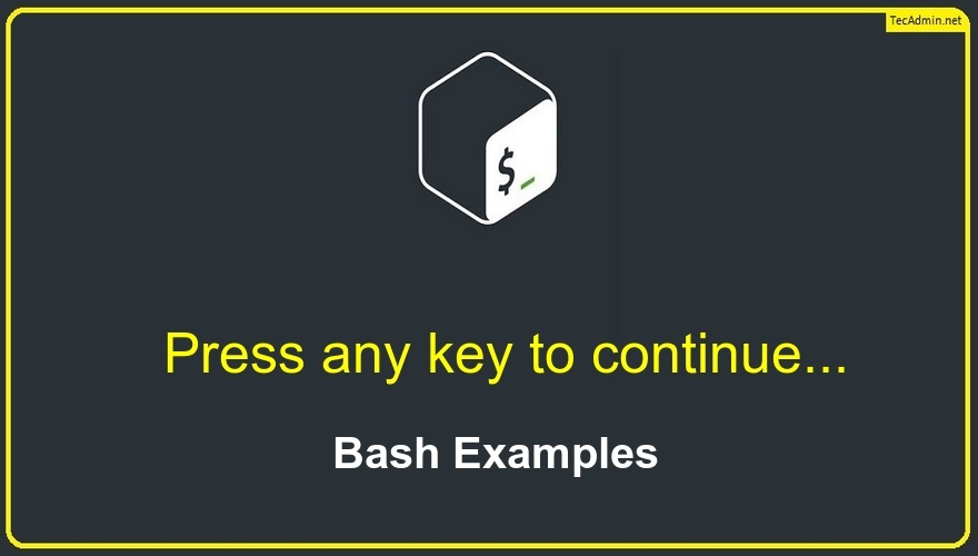 Bash Examples for “Press any key to continue…” bash Bash Tips & Tricks User Input 