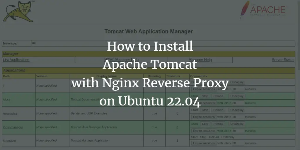 How to Install Apache Tomcat with Nginx Reverse Proxy on Ubuntu 22.04 ubuntu 