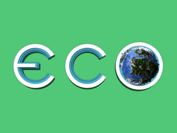 9 Best Eco Server Hosting to Use in 2024 Game Hosting 