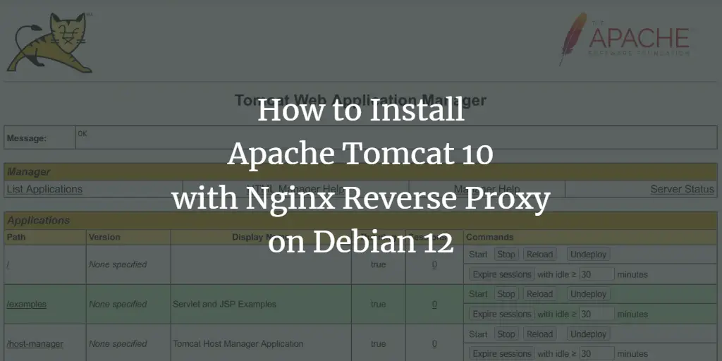 How to Install Apache Tomcat 10 with Nginx Reverse Proxy on Debian 12 Debian 
