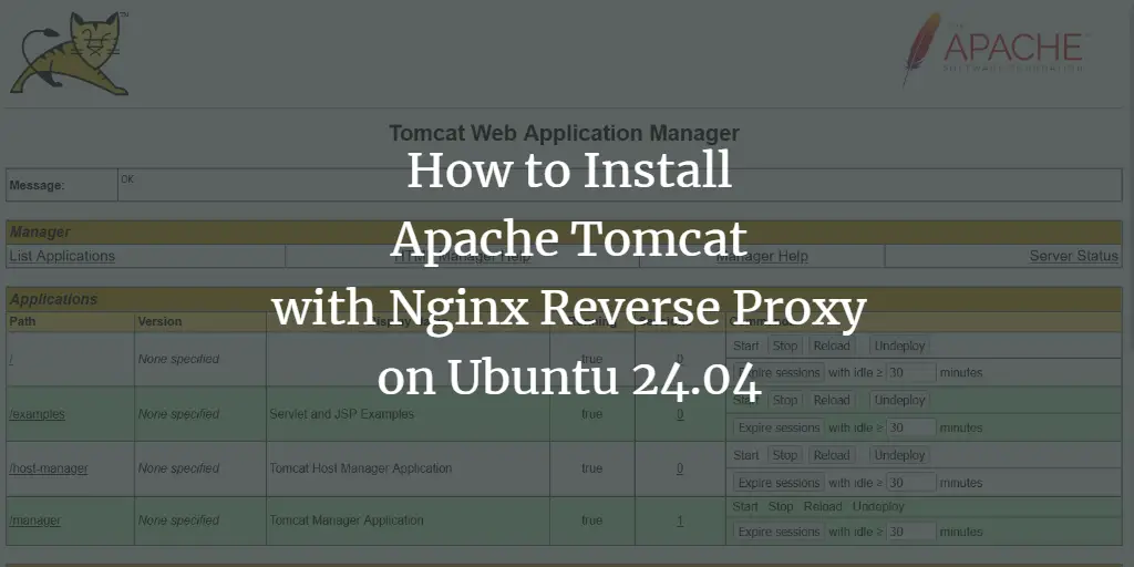 How to Install Apache Tomcat with Nginx Reverse Proxy on Ubuntu 24.04 ubuntu 
