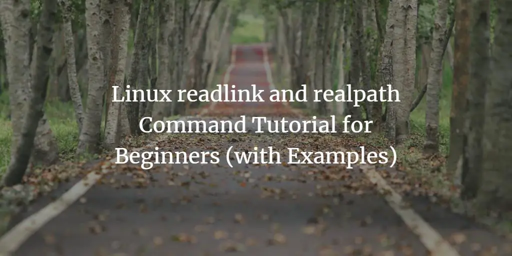 Linux readlink and realpath Command Tutorial for Beginners (with Examples) linux 