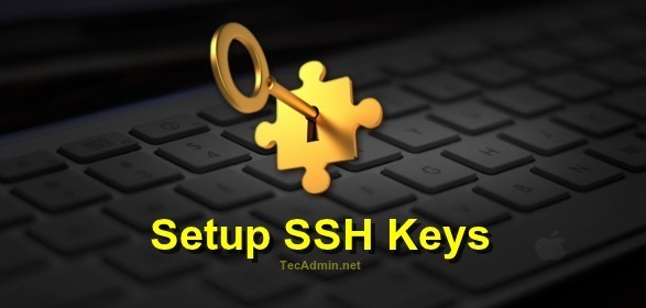 How to Setup Key-based SSH Authentication for Secure Connections dsa login password rsa secure shell SSH 