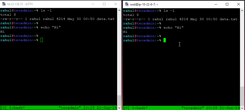 How to Share Linux Terminal with tmate: A Step-by-Step General Articles terminal tmate 