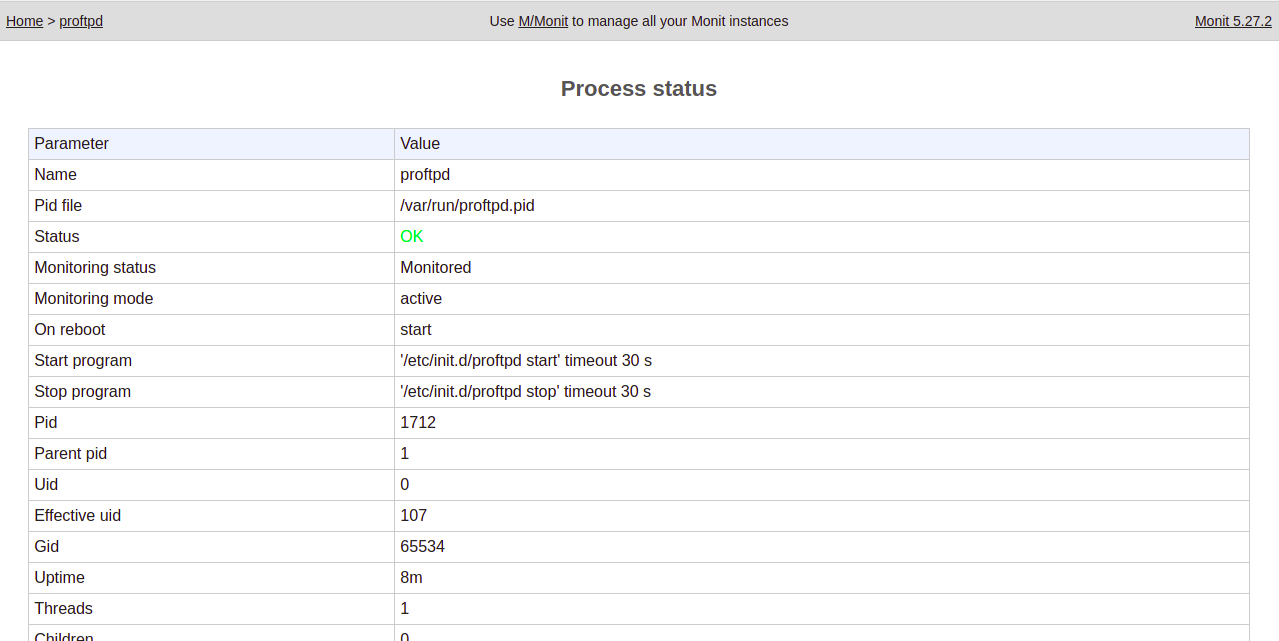 How do I install the Monit Monitoring Tool under Debian Debian linux 