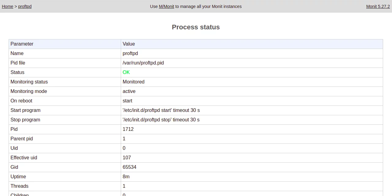 How do I Install the Monit Monitoring Tool under Debian Debian linux 