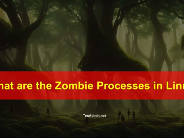 What is the Zombie Processes in Linux? Linux Tutorials 