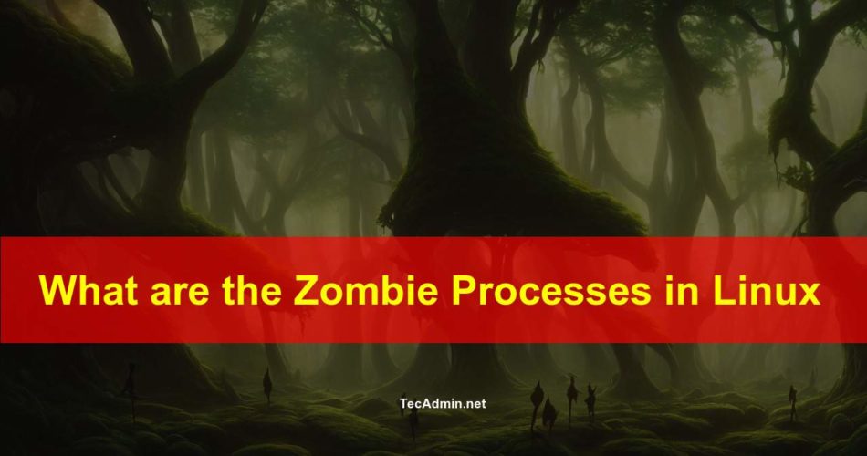 What is the Zombie Processes in Linux? Linux Tutorials 