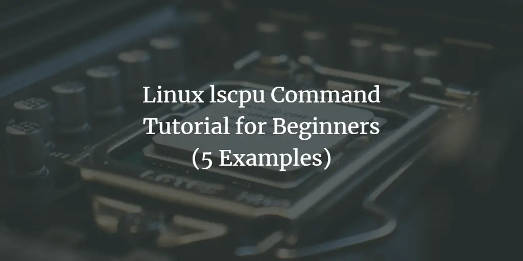 Linux lscpu Command Tutorial for Beginners (5 Examples) linux 